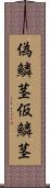 偽鱗茎 Scroll