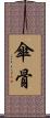 傘骨 Scroll