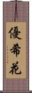 優希花 Scroll