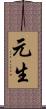 元生 Scroll