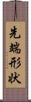 先端形状 Scroll