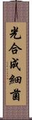 光合成細菌 Scroll