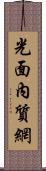 光面內質網 Scroll