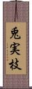 兎実枝 Scroll