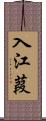 入江葭 Scroll
