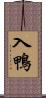 入鴨 Scroll