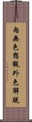 內無色想觀外色解脫 Scroll
