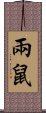 兩鼠 Scroll