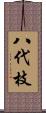 八代枝 Scroll