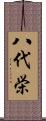 八代栄 Scroll