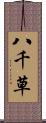 八千草 Scroll