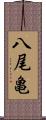 八尾亀 Scroll