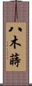 八木蒔 Scroll