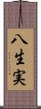 八生実 Scroll