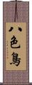 八色鳥 Scroll