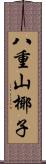 八重山椰子 Scroll