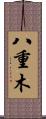 八重木 Scroll