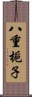 八重梔子 Scroll