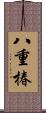 八重椿 Scroll