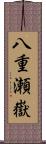 八重瀬嶽 Scroll
