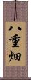 八重畑 Scroll