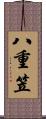 八重笠 Scroll