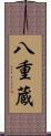 八重蔵 Scroll