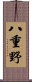 八重野 Scroll