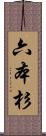 六本杉 Scroll