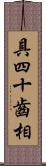 具四十齒相 Scroll