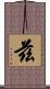 兹 Scroll