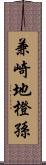 兼崎地橙孫 Scroll