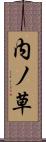 内ノ草 Scroll