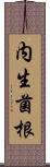 内生菌根 Scroll