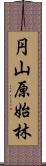 円山原始林 Scroll