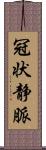 冠状静脈 Scroll