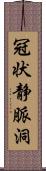冠状静脈洞 Scroll