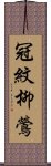 冠紋柳鶯 Scroll