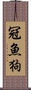 冠魚狗 Scroll