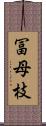 冨母枝 Scroll