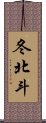 冬北斗 Scroll