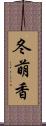 冬萌香 Scroll