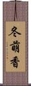 冬萌香 Scroll