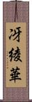 冴綾華 Scroll