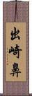 出崎鼻 Scroll