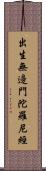 出生無邊門陀羅尼經 Scroll