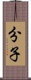 分子 Scroll