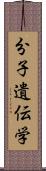 分子遺伝学 Scroll