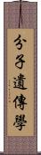 分子遺傳學 Scroll