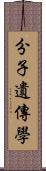 分子遺傳學 Scroll